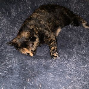 Meet your Posher, Tammy